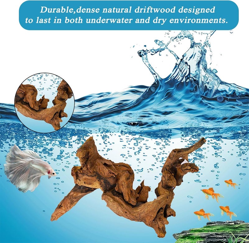 awenyzen Natural Aquarium Driftwood for Fish Tank & Reptile Terrarium Decor – 4 Pcs Assorted Natural Wood Branches 4-8 Inch, Aquarium Decorations for Shrimp, Betta, Lizards - Image 2